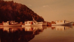 The boats tied up to the wharf at White's Bluff.